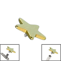 view all Titanium Star for Internal Thread shafts in 1.6mm. Also fits Dermal Anchor body jewellery