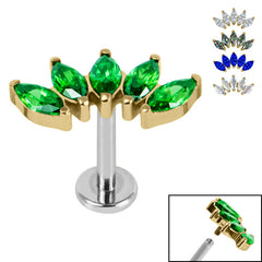 view all Titanium Internally Threaded Labrets 1.2mm - Gold Titanium Claw Set 5 CZ Jewel Marquise Fan body jewellery