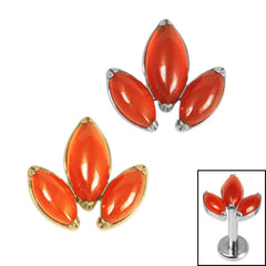 view all Titanium Claw Set Carnelian Marquise Stone Leaves Trio Top for Internal Thread shafts in 1.2mm body jewellery