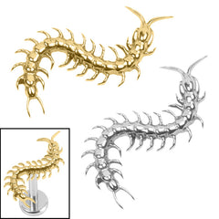 view all Titanium Internal Centipede Top body jewellery