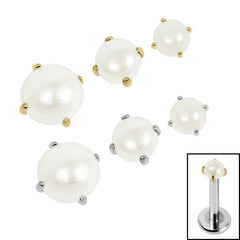 view all Titanium Claw Set Round Pearl for Internal Thread shafts in 1.2mm body jewellery