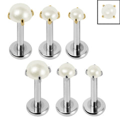 view all Titanium Triple Piercing with Titanium Tops - Internally Threaded Claw Set Round Pearl 1.2mm body jewellery