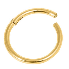 view all 22ct Gold Steel Hinged Segment Ring (Clicker) body jewellery