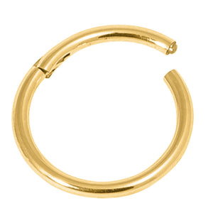 22ct Gold Steel Hinged Segment Ring (Clicker)