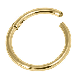 Gold Steel Hinged Segment Ring (Clicker)