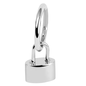 Titanium Hinged Segment Ring with Titanium Padlock Charm