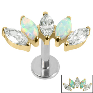 Titanium Threadless Labrets - Gold Titanium (Bend-fit) (Infinity) Claw Set 5 Marquise Opal and Jewel Fan