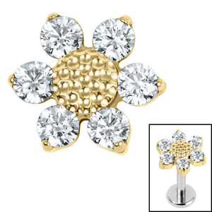 Titanium Internal Jewelled Golden Daisy Top