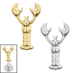 Titanium Internal Leonardo Da Pinchi