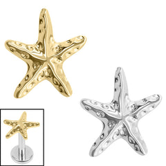 view all Titanium Internal Starfish body jewellery