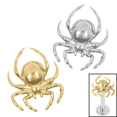 view all Titanium Internal Wolf Spider body jewellery