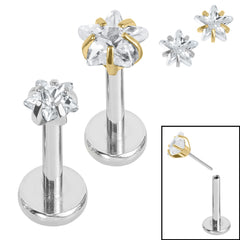 Titanium Threadless Labrets - Titanium (Bend-fit) Claw Set CZ Jewelled Star
