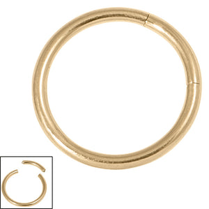 Zircon Steel Smooth Segment Rings (Gold colour PVD)