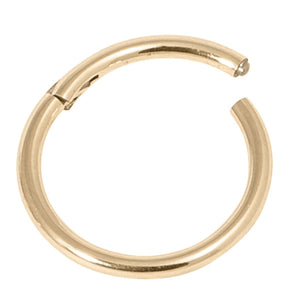 Zircon Steel Hinged Segment Ring (Gold colour PVD) (Clicker)