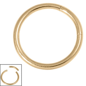 Zircon Titanium Smooth Segment Ring (Gold colour PVD)