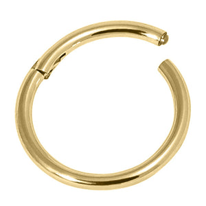 Gold Plated Titanium Hinged Segment Ring (Clicker)