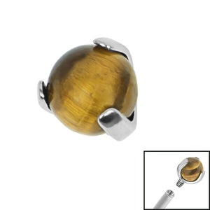 Titanium Claw Set Tigers Eye Ball for Internal Thread shafts in 1.6mm. Also fits Dermal Anchor (cloned)
