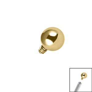 Gold Plated Titanium (PVD) Ball for Internal Thread shafts in 1.2mm